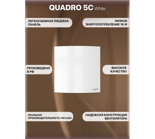 Вентилятор осевой вытяжной QUADRO 5C