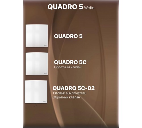 Вентилятор осевой вытяжной QUADRO 5C