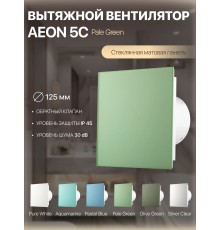Вентилятор накладной AEON 5C PAGM4/5 Pale Green D 125