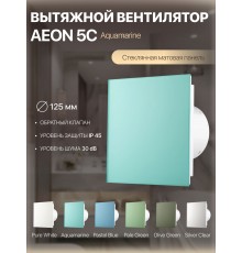 Вентилятор накладной AEON 5C PAGL4/5 Aquamarine D 125