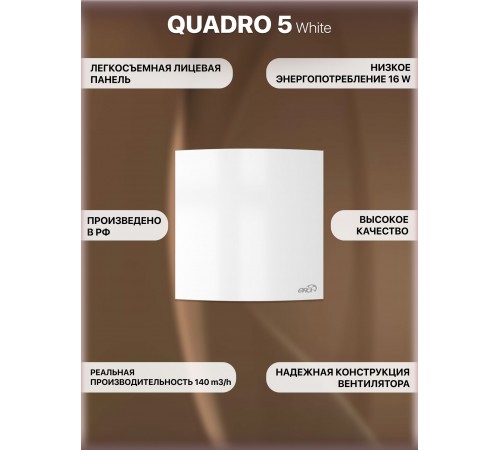 Вентилятор осевой вытяжной QUADRO 5