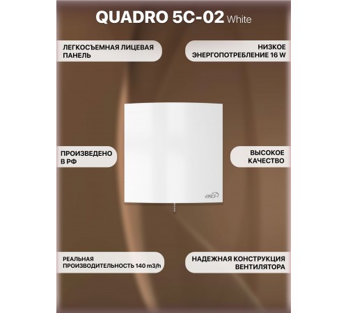 Вентилятор осевой вытяжной QUADRO 5C-02