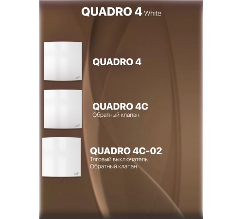 Вентилятор осевой вытяжной QUADRO 4