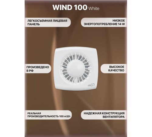 Вентилятор накладной WIND 100