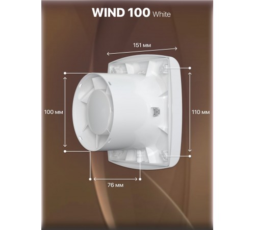 Вентилятор накладной WIND 100