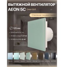 Вентилятор накладной AEON 5C PAGL4/5 Green Soft D 125